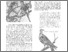 [thumbnail of Nos tourtes d'autrefois.pdf]