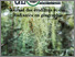 [thumbnail of geouidire_19.pdf]